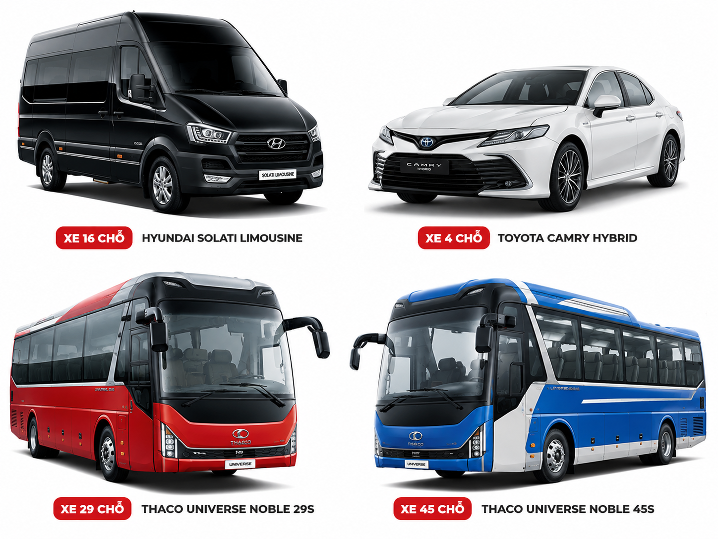 Thuê xe từ 4 chỗ đến 45 chỗ tại TP. Hồ Chí Minh